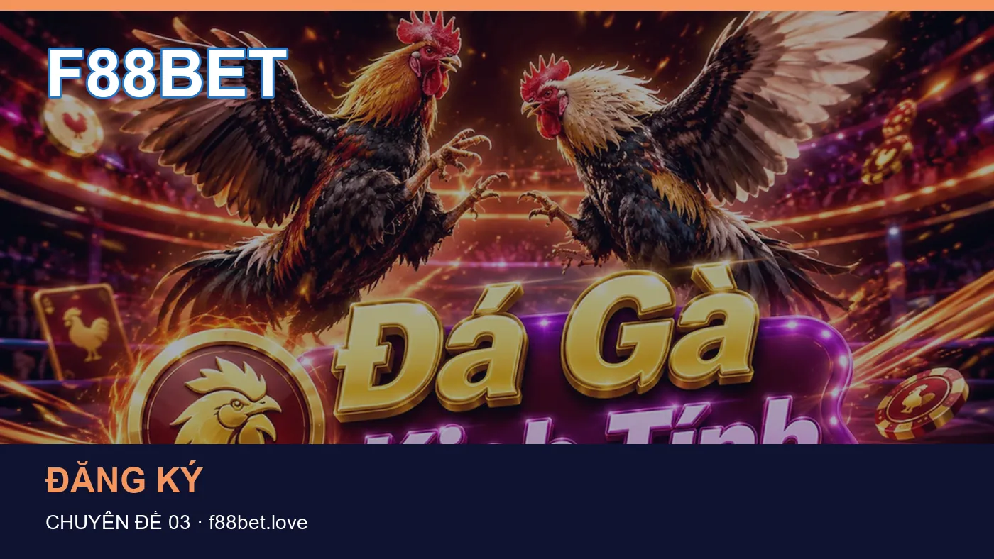 Danh sách kiểm tra thông tin Tài khoản dành cho người đọc F88BET