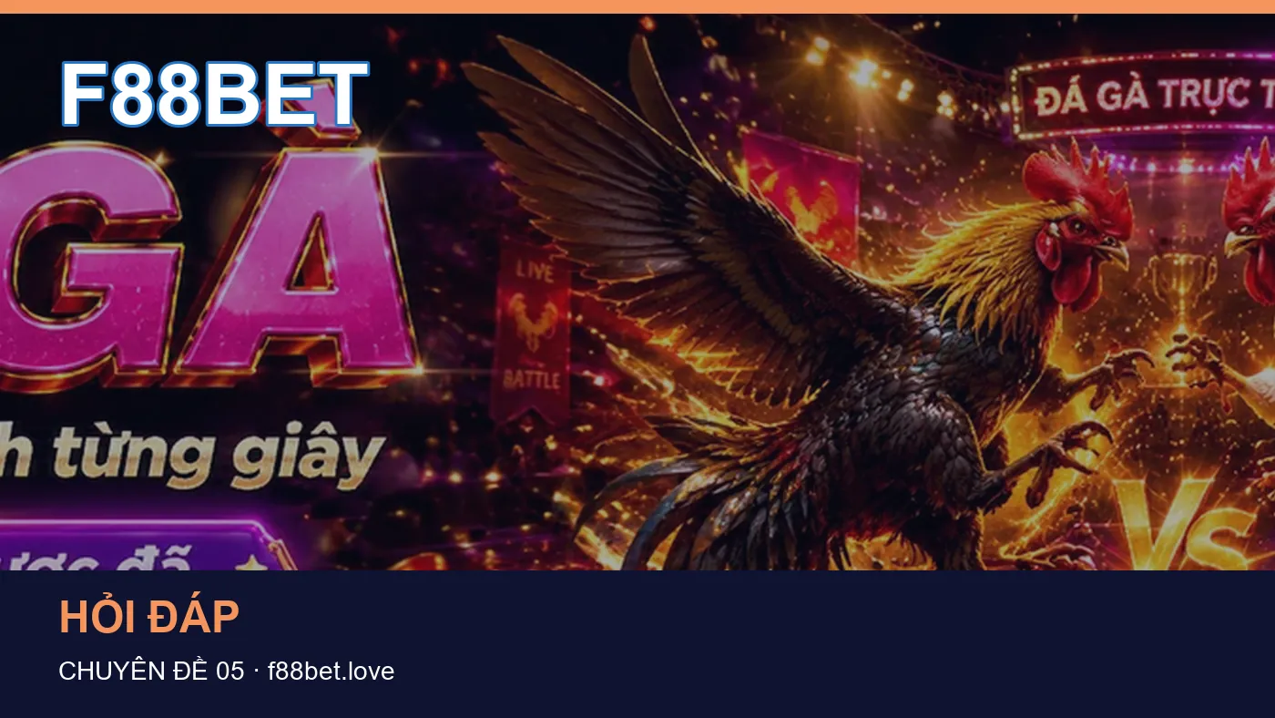 Đối chiếu nguồn và thời điểm cập nhật trong Tài khoản của F88BET