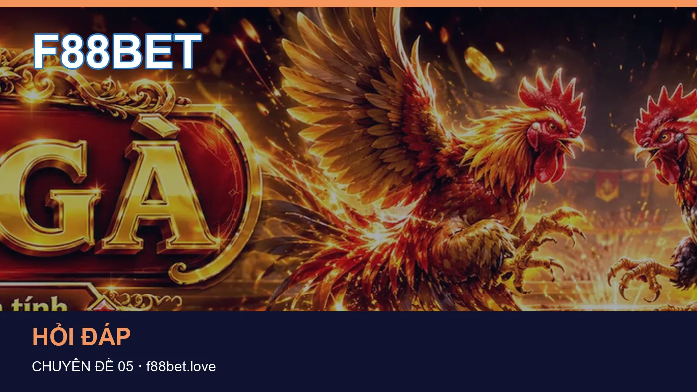 Trải nghiệm Bảo mật trên điện thoại cùng cẩm nang F88BET